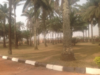 Precious Palm Royal Hotel Godfrey Iguodala Obadagbonyi Picnic Ground