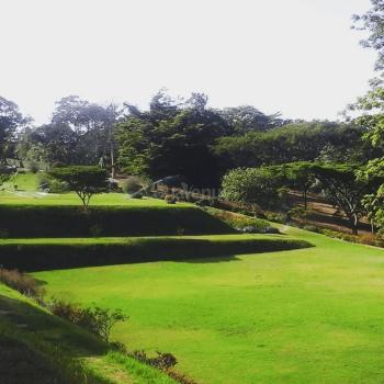 Eva's Garden Limuru Hall