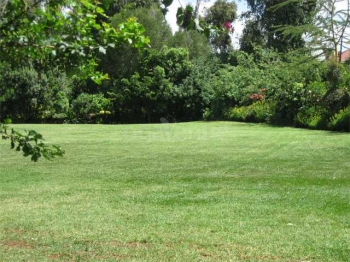 Langata Botanical Gardens 1