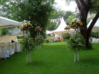 Langata Botanical Gardens 1